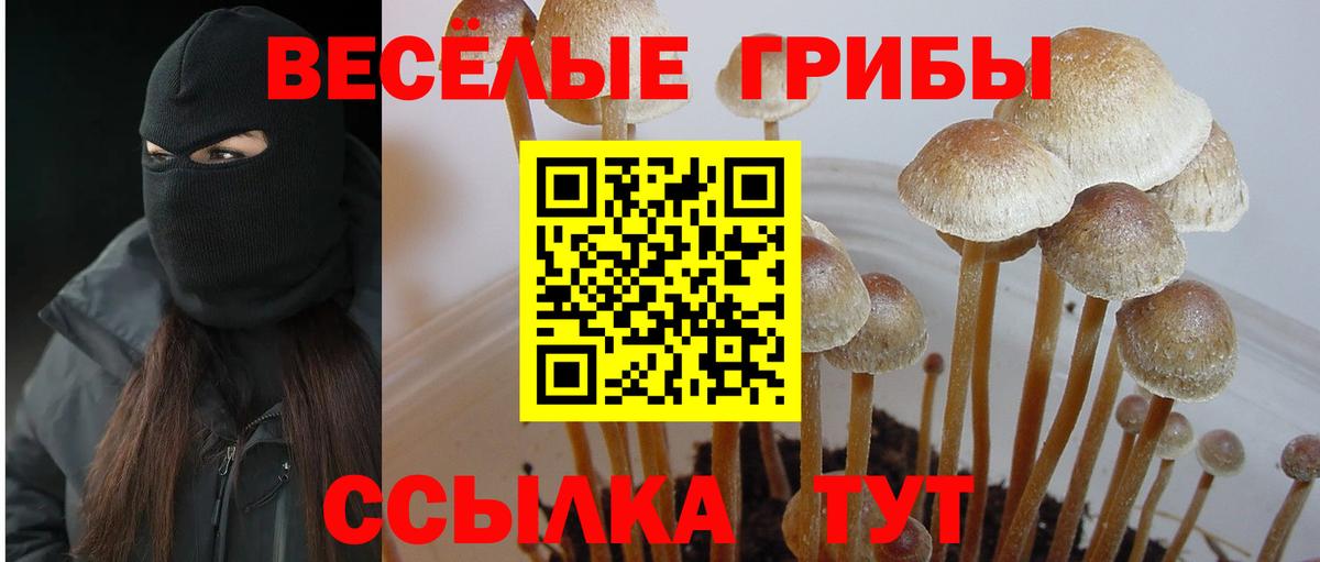 Псилоцибиновые грибы мицелий Волжский